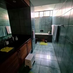 Village Tower (D10), Condominium #562517471